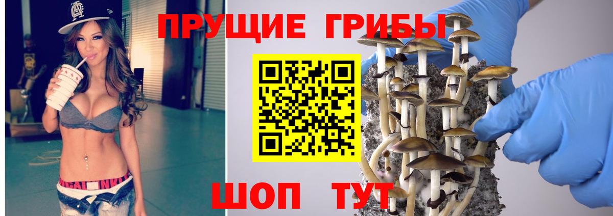 Красноармейск  Псилоцибиновые грибы прущие грибы  закладка  Вход с VPN 